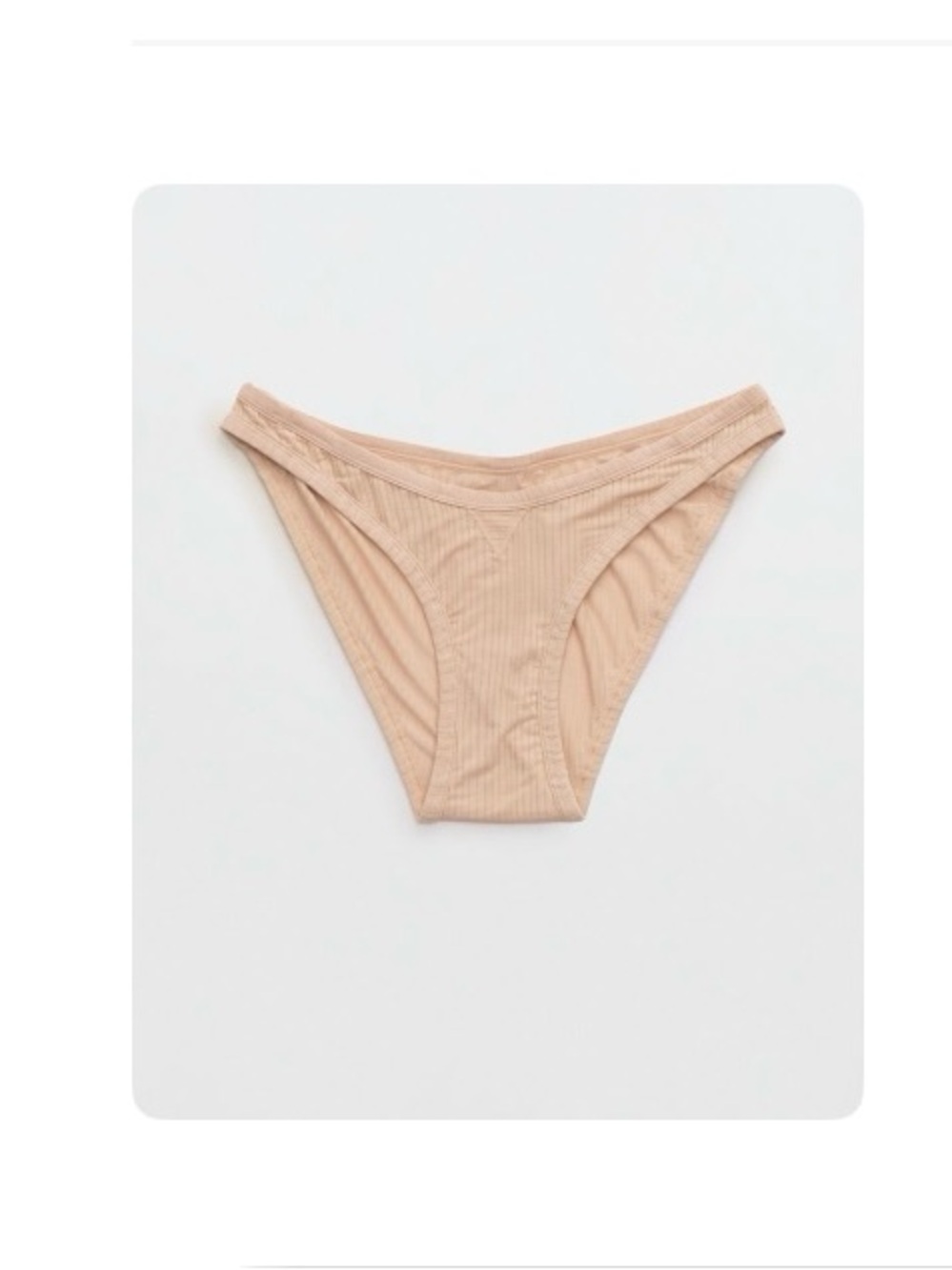 NWT Aerie Superchill Modal Rib Bikini Panty